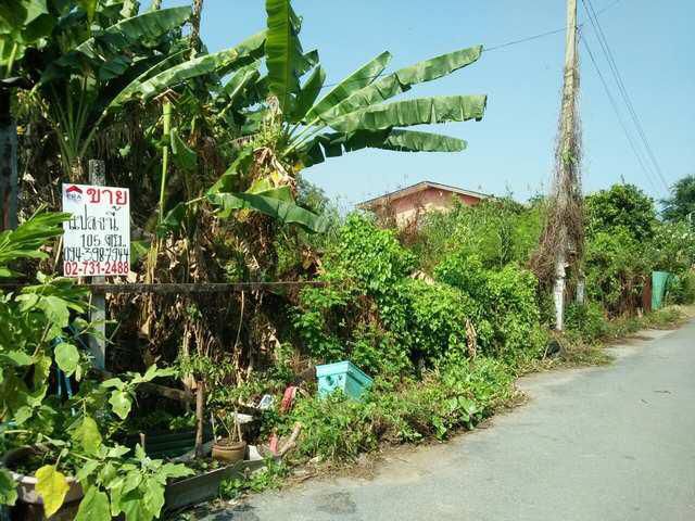 ที่ดิน 105 ตรว.ถ.พระราม2 ซอยแสมดำ5 บางขุนเทียน