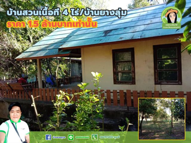 บ้านสวนบ้านยางลุ่ม เนื้อที่ 4 ไร่ ราคา 1.5 ล้านบาท
