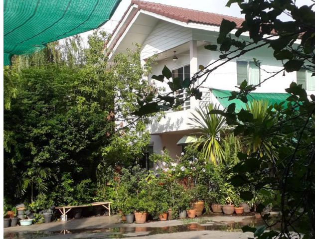 ขายบ้านเดี่ยว พร้อมที่ดิน นนทบุรี 226 ตรว.