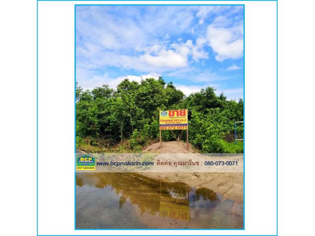 ขายที่ดิน 283.6 ตร.ว. ถนนดอนเหียง อ.เมือง จ.ประจวบคีรีขันธ์ - 001907