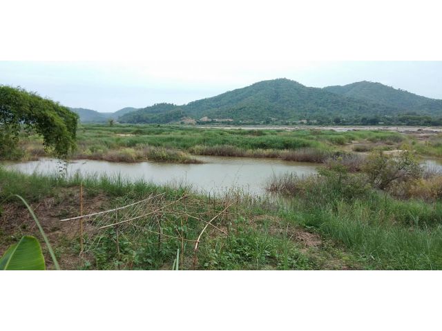 ขายที่ดินติดแม่น้ำโขงประมาณ 3 ไร่ หน้าติดทางหลังติดโขง อ.ปากชม จ.เลย