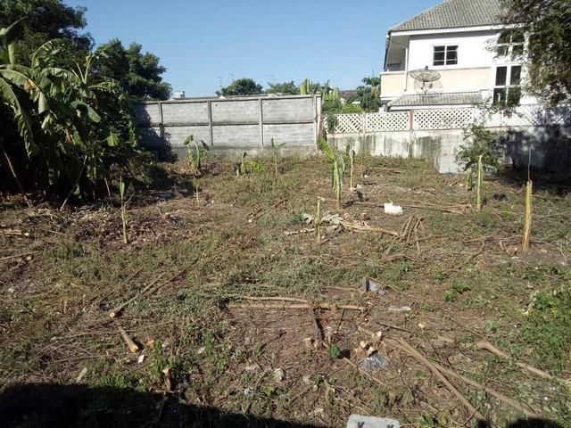 ขายที่ดินซอยสุขุมวิท101 ใกล้BTSปุณวิถี  เนื้อที่ 111 ตร.ว. เหมาะสำหรับสร้างบ้าน