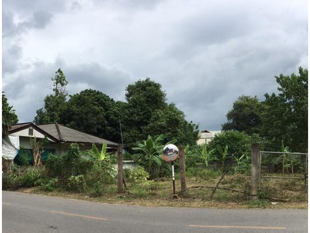 200CHK ที่ดิน 113ตรว ซอยป่าตัน อ.เมือง จ.เชียงใหม่