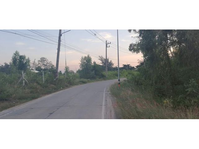 Ps214 ที่ดินใกล้หาดสุชาดา160เมตร มี7ไร่ ราคาถูกที่สุด จากเจ้าของขายเอง