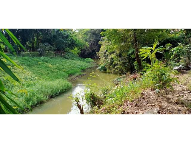 ขายที่ดินถม 136 ตร-ว. ติดลำน้ำร่องขุ่น