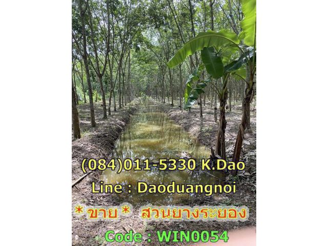 ขายที่ดิน โฉนด 7-0-55 ไร่ (2,855 ตรว.)  บ้านค่าย หมู่ 3 ใกล้สี่แยกบางบุตร ขายไร่ละ 1,000,000 บาท