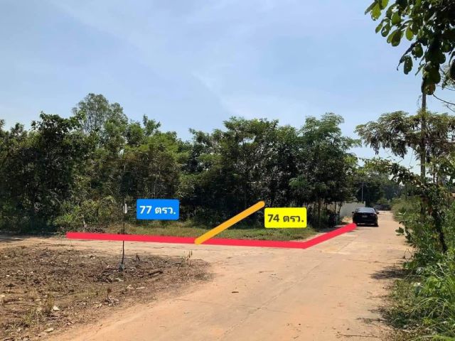 ที่ดินแปลงสวยบ้านคำนางรวยใต้ 74 ตรว.ติดถนนคอนกรีต 2 ด้าน 650,000 เอกสารโฉนด