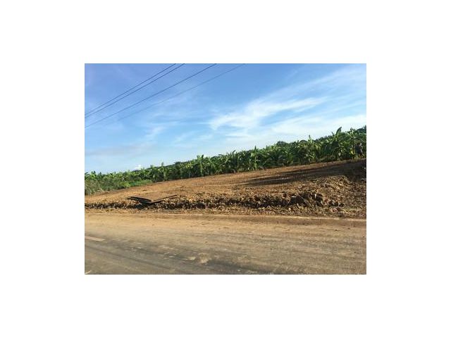 ขายที่ดิน200 ตรว ถมแล้ว คลอง8 หนองเสือ ปทุมธานี