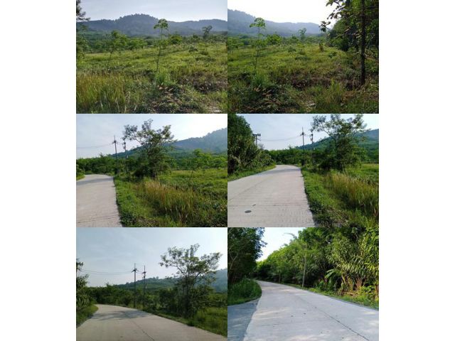 เสนอขายที่ดินสวนยางพารา แปลงสวย ติดถนนคอนกรีต เนื้อที่ 40 กว่าไร่ บ้านอ่าง มะขาม จันทบุรี