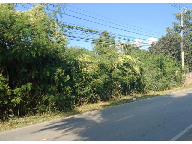 ที่ดินเปล่าโซนแม่โจ้ อ.สันทราย