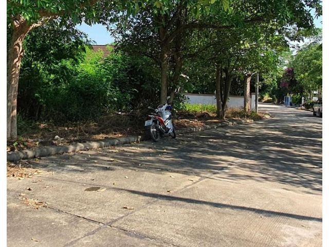 ที่ดินเปล่าโซนหลังกาดฝรั่ง อ.หางดง