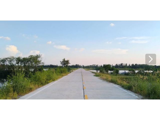 PP721ที่ดิน 2 ไร่ เขตพันท้ายฯ ใกล้ถนนแสมดำ   ติดถนนคอนกรีต รถใหญ่เข้าออกสะดวก