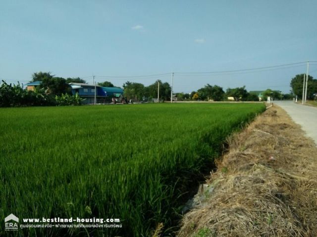 ขายที่ดินเปล่า 1 ไร่ ซอยวัดราษฏร์ศรัทธาธรรม