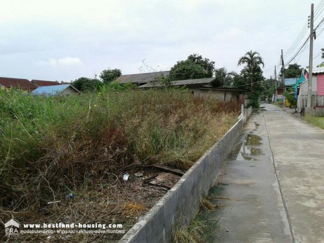 ที่ดินเปล่า 50 ตรว. หมู่บ้านเพชรมณกรีน ถ.บางบอน5