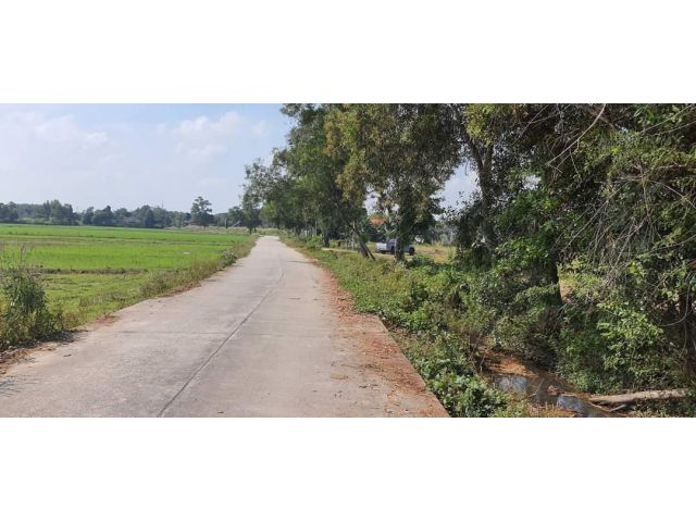 Ps222ที่ดินหลังอบต.บ้านค่าย จ.ระยอง ติดถนนคอนกรีต ราคาถูกจากเจ้าของขายเอง