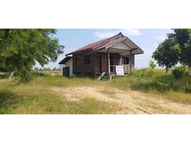 บ้านเดี่ยวชั้นเดียวยกพื้น 122 ตร-ว. บรรยากาศดี