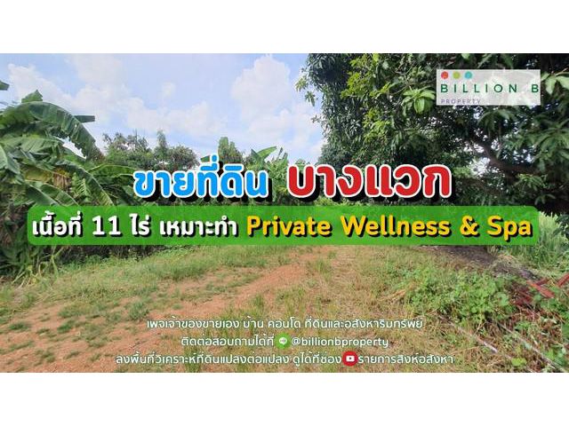 ขายที่ดินแปลงสวย บางแวก สาย 2 ใกล้ถนนเพชรเกษม