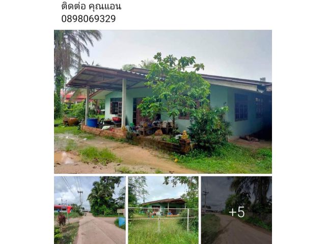 บ้านพร้อมที่ดินราคาถูก ใกล้สุขุมวิทในเมือง