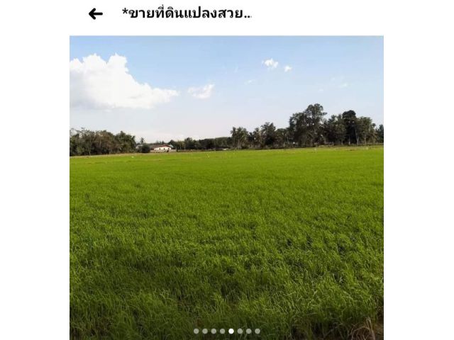 ที่ดินแปลงสวย วิวธรรมชาติ ใกล้เมือง