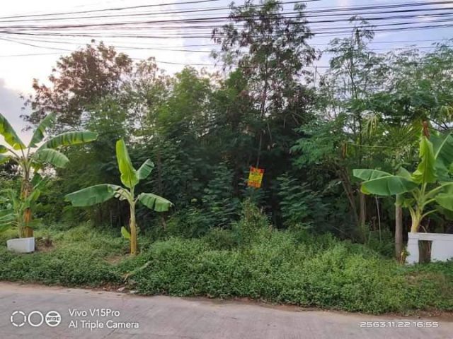 ที่ดินเปล่า 100 ตรว.ถมแล้ว กว้าง 20*20 เมตร เหมาะปลูกที่อยู่อาศัย ซ.พหลโยธิน54/1 แยก 4-34 ใกล้ตลาดยิ่งเจริญ