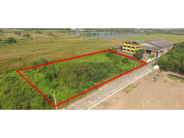 ขาย ที่ 724 วา สร้างโรงงานได้ทุกประเภท บนพื้นที่สีม่วง แบ่งใช้งานง่าย ด้วยหน้ากว้าง 78 เมตร รถเทรลเลอร์ขนส่งสะดวก ใกล้ถน
