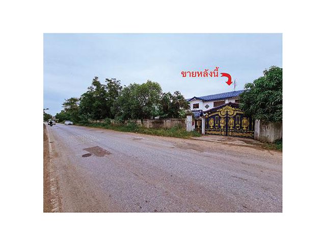 ขายที่ดินพร้อมบ้านเดี่ยว 2 หลัง และโกดัง ต.โนนสูง จ.นครราชสีมา ซ.โยธาธิการ ถ.มิตรภาพ แถมแอร์ทุกห้อง และเฟอร์ฯ บางส่วน ภา