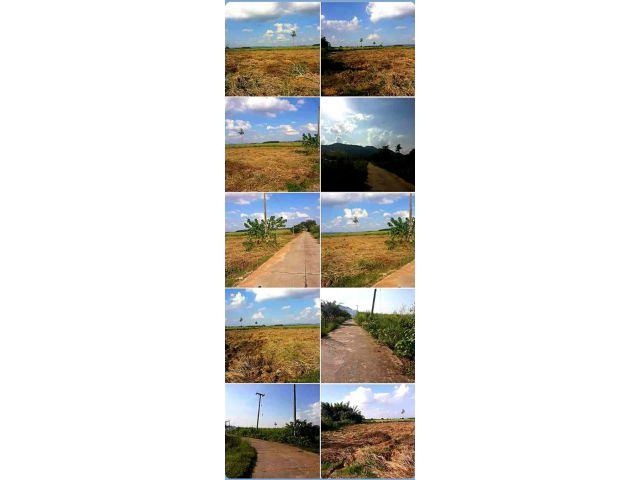 ขายที่ดิน 47 ไร่ ราคาถูกมาก อ.ด่านมะขามเตี้ย จ.กาญจนบุรี