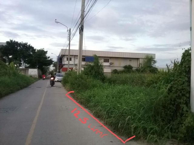PP741ที่ดิน97.1 ตารางวา ถนนศรีนครินทร์ ซ.ศรีด่าน 3/5 ถนนสุขุมวิท ซ.สุขุมวิท 113