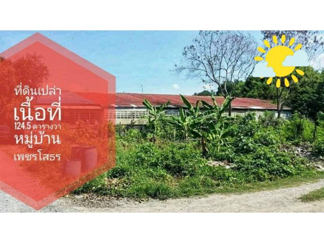ขาย!!ที่ดินเปล่า ในหมู่บ้านเพชรโสธร เนื้อที่ 124.5 ตารางวา เหมาะปลูกบ้าน ทำหอ