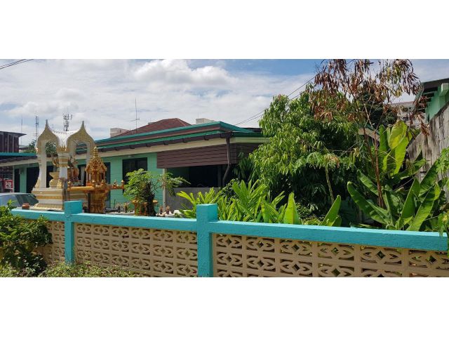 ขายที่ดิน 200 ตร.ว แถมบ้าน 1 หลัง ซอยเพิ่มเติม 2