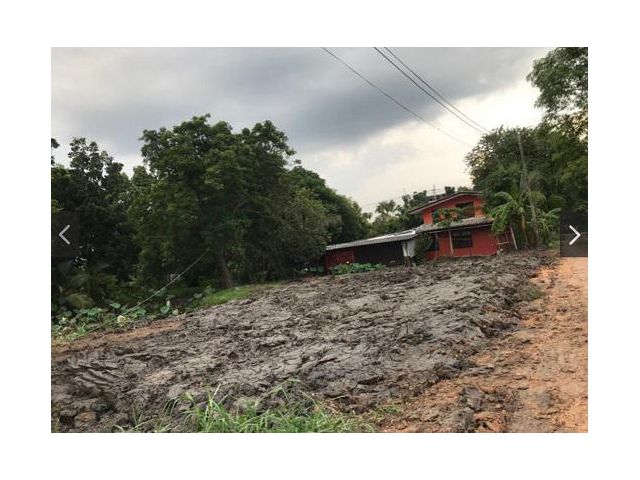 ขายที่ดินคลองห้า ฝั่งตะวันตก เน่อที่ 120 ตรว คลองหลวง