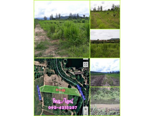 ลดราคาท้าลมหนาว ที่ดินติดแม่น้ำแม่ประจันต์ อ.หนองหญ้าปล้อง จ.เพชรบุรี