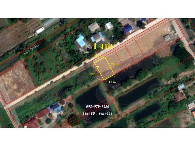 P81 ขายที่ดิน เริ่ม 100 - 400 ตร.ว. สามโคก ปทุมธานี ใกล้โรงพยาบาล, มหาลัย ผังสีเขียว