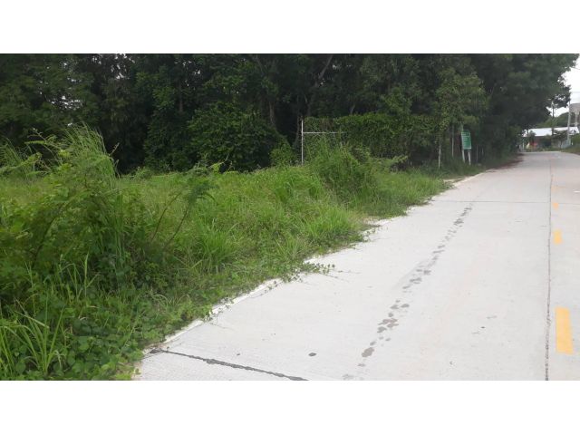 ที่ดินบ่อวิน 20 ไร่ ใกล้นิคมอีสเทอร์นซีบอร์ด สีม่วงจุด