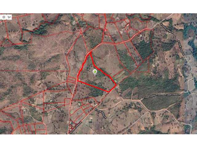 ที่ดิน โฉนด 45-3-65 ไร่ ถนนทางหลวงชนบท จ.พิษณุโลก