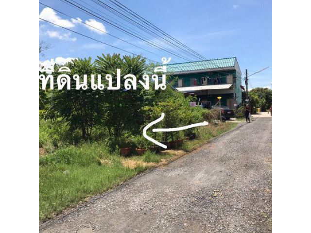 ขายที่ดินลำลูกกาถมแล้ว 60 ตรว. ทำถนนดีมากสิ่งอำนวยความสะดวกครบ