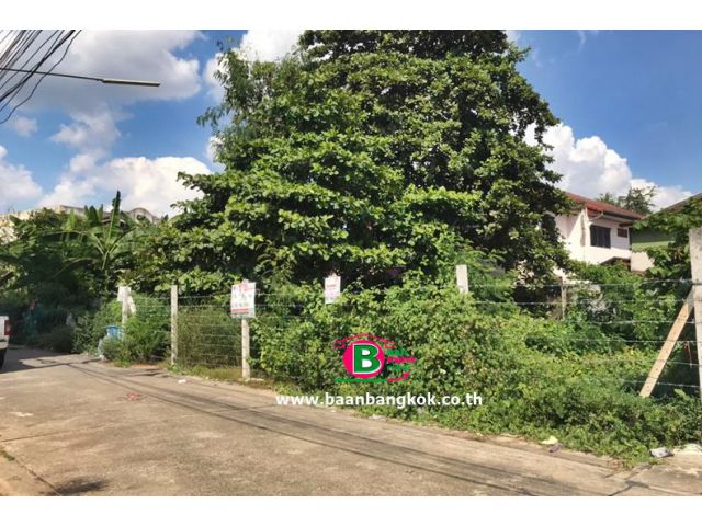 ที่ดินจัดสรร ชุมชนจามรร่วมใจสามัคคี ลำลูกกา คลอง 4 เนื้อที่ 56 ตรว. ถนนลำลูกกา อ.ลำลูกกา จ.ปทุมธานี