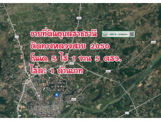 > ขายที่ดินอุบลราชธานี ติดทางหลวงสาย 2050 โฉนด 5 ไร่ 1 งาน 5 ตรว. ไร่ละล้าน