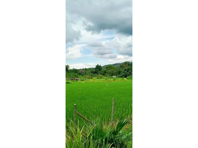 ขายที่ดินเปล่าติดน้ำ 1-3-22 ไร่ แปลงสวย วิวเขา
