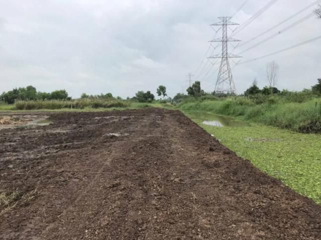 ZSC251127 ขาย ที่ดิน เงินผ่อน แนวสวนเกษตร คลอง 12  หนองเสือ จ.ปทุมธานี
