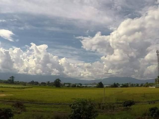 ขายที่ดินนา หลังบ้านเอื้ออาทร  เหมาแก่การลงทุน