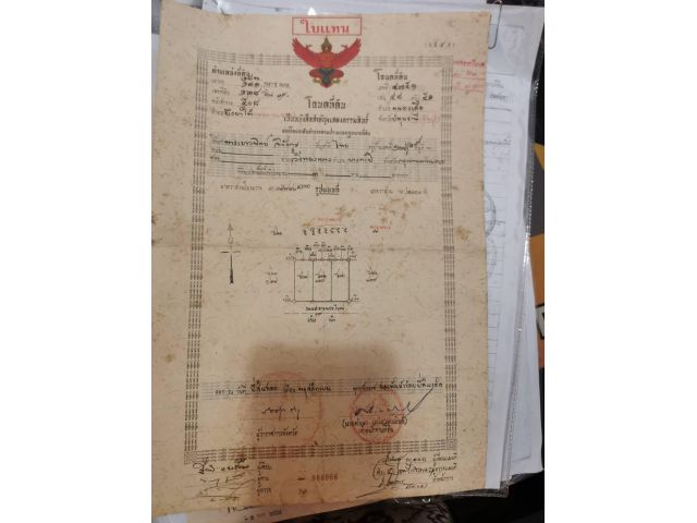 ขายที่ดิน 3 ไร่ ใกล้โครงการนฤมลวิลล่า1