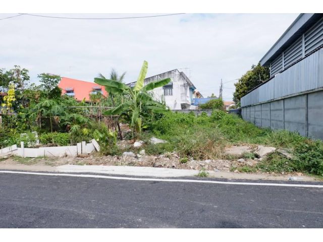 ขายที่ดิน  100 ตรว. ลำลูกกาคลอง 4 ทำเลดี ถนนลาดยาง  เข้าออกสะดวก