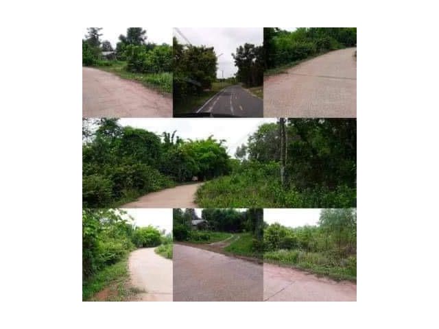ขายที่สวน ในชุมชน ติดถนนคอนกรีต ที่ดินเหมาะทำบ้าน ทำสวน มีไฟฟ้า.น้ำประปา เนื้อที่ 8 ไร่กว่าๆ ตำบลกบินทร์ อำเภอกบินทร์บุรี จังหวัดปราจีนบุรี  อยู่ในแหล่งความเ