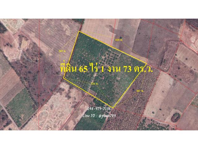 P88 ขายที่สวนมะม่วง 65 ไร่ 1 งาน 73 ตร.ว. ใกล้โรงเรียน ผังสีเขียว