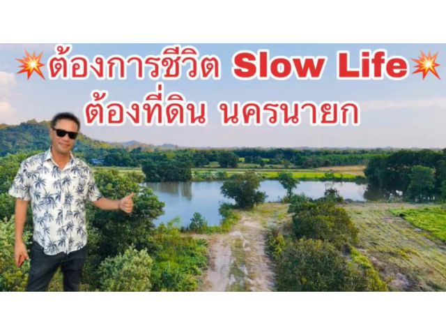 ขายที่ดิน 100 ไร่ ตำบลสาริกา นครนายก