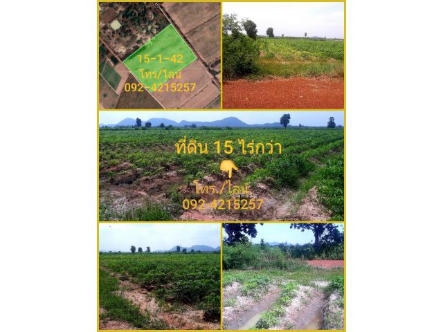 ขายที่ดิน เอกสารโฉนด ราคาถูกมากๆ #ขายทิ้ง อ.ด่านมะขามเตี้ย จ.กาญจนบุรี