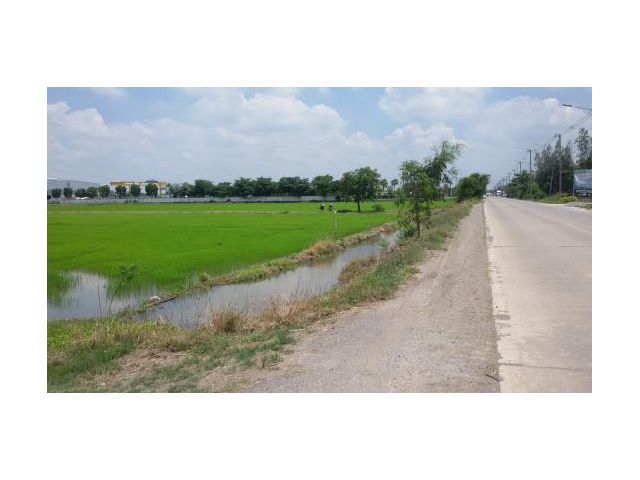 ขายที่ดินลำลูกกา คลองสิบ – เนื้อที่ 64 ไร่  ไร่ละ 1.5 ล้านบาท ใกล้กับโรงงานผลิตแผ่นคอนกรีตสำเร็จรูป แสนสิริ