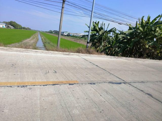 ขายที่ดินคลอง 7 ลำลูกกา  เนื้อที่ 11 ไร่ ไร่ละ 2 ล้าน ห่างถนนลำลูกกาเพียง 2.5 กม.