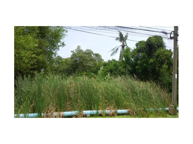 ขายที่ดินติดถนนคลองเก้า หนองจอก 1 ไร่ 1 งาน 72 ตร.วา  ราคา 7 ล้าน !!!  เท่านั้น  ใกล้เคหะคลองเก้า